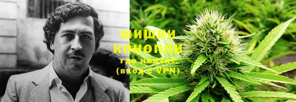 мескалин Осинники