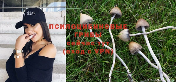 мескалин Осинники