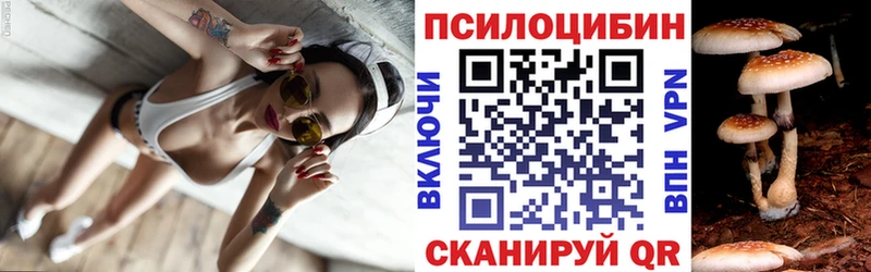 цены Кудымкар Псилоцибиновые грибы Magic Shrooms