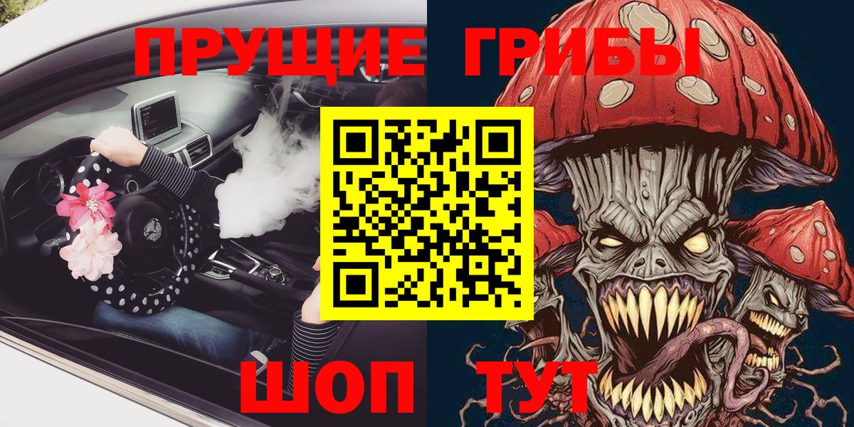 Псилоцибиновые грибы Psilocybine cubensis Кудымкар