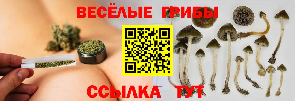 Псилоцибиновые грибы Кудымкар